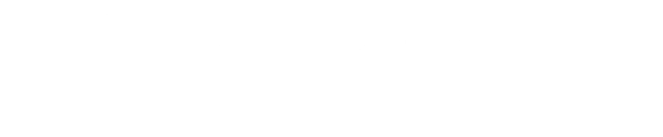Localiza